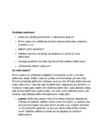 Paraugs 'Stafetes plāns sportā', 2.