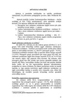 Referāts 'Pasniedzēja un apmācāmā savstarpējās saskarsmes ietekme uz transporta līdzekļu v', 14.