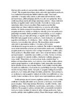 Konspekts 'Interešu izglītības būtība un iespējas skolēnu pašizaugsmei', 8.