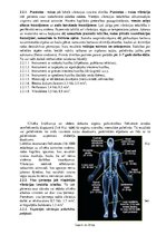 Paraugs 'Darba vides riska faktoru kaitīgā ietekme uz nodarbināto drošību un veselību', 8.
