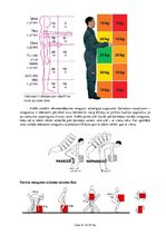 Paraugs 'Darba vides riska faktoru kaitīgā ietekme uz nodarbināto drošību un veselību', 25.