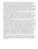 Eseja 'Gun Control - Do or Die', 1.