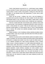 Referāts 'Jauniešu estētiskās pieredzes veidošanās deju nodarbībās', 2.