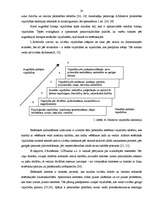 Referāts 'Jauniešu estētiskās pieredzes veidošanās deju nodarbībās', 20.