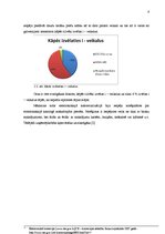 Referāts 'Interneta veikali', 6.