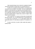 Referāts 'Interneta veikali', 12.