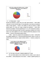 Referāts 'Interneta veikali', 19.