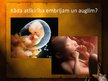 Prezentācija 'Attīstība no apaugļošanās līdz dzimumšūnai', 6.