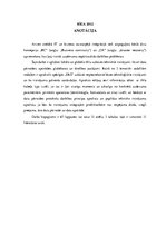 Diplomdarbs 'Tīkla tehnoloģiju pielietošanas iespējas uzņēmumos', 2.