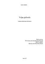 Referāts 'Veļas pulveris', 1.