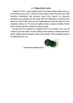 Referāts 'Veļas pulveris', 15.