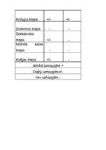 Referāts 'Veļas pulveris', 28.