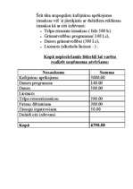 Biznesa plāns 'Biznesa plāns kafejnīcai', 13.