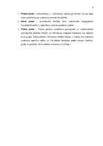 Referāts 'Grāmatvedības uzskaites pilnveide pakalpojumu sniegšanas uzņēmumā', 9.