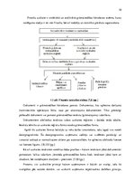 Referāts 'Grāmatvedības uzskaites pilnveide pakalpojumu sniegšanas uzņēmumā', 10.