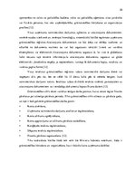 Referāts 'Grāmatvedības uzskaites pilnveide pakalpojumu sniegšanas uzņēmumā', 20.