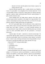 Referāts 'Grāmatvedības uzskaites pilnveide pakalpojumu sniegšanas uzņēmumā', 29.