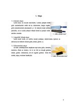 Referāts 'Darbarīku izvēle viesnīcā', 9.