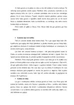 Referāts 'Filmas "Another Earth" vizuālās komunikācijas analīze', 5.