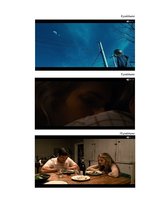 Referāts 'Filmas "Another Earth" vizuālās komunikācijas analīze', 12.