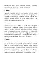 Prezentācija 'Bronhektāzes', 26.