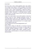 Referāts 'Globalizācija un valsts ekonomiskā drošība', 17.