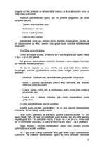 Referāts 'Apdrošināšanas tirgus Latvijā', 19.