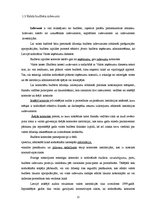 Referāts 'Budžeta analīze', 12.