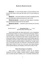 Konspekts 'Bezdarba līmenis un tā regulēšana dažādās valstīs', 2.