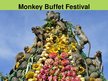 Prezentācija 'Monkey Buffet Festival', 3.