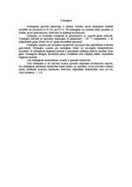 Referāts 'Kurināmais un tā ietekme uz vidi', 6.