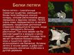 Prezentācija 'Грызуны', 3.
