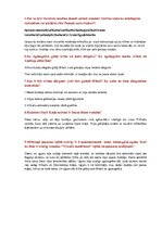 Konspekts 'Romāns "Vilkaču mantiniece"', 2.