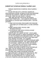 Referāts 'Enerģētikas attīstības vēsture', 5.