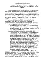 Referāts 'Enerģētikas attīstības vēsture', 14.