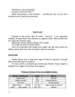 Referāts 'Ieskats jaunākajā dzejā, prozā un dramaturģijā', 7.