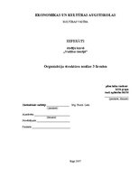 Konspekts 'Organizācijas struktūras analīze trīs firmām', 1.