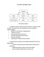 Konspekts 'Organizācijas struktūras analīze trīs firmām', 2.
