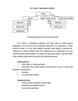 Konspekts 'Organizācijas struktūras analīze trīs firmām', 3.