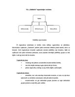 Konspekts 'Organizācijas struktūras analīze trīs firmām', 4.