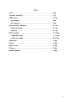 Konspekts 'Transporta attīstības vēsture. Ūdens transports', 2.