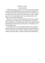 Konspekts 'Transporta attīstības vēsture. Ūdens transports', 12.