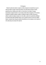 Konspekts 'Transporta attīstības vēsture. Ūdens transports', 19.