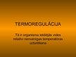 Prezentācija 'Termoregulācija', 1.