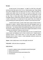 Referāts 'Sievietes tērps gadsimtu gaitā', 4.