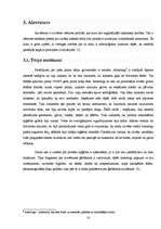 Referāts 'Sievietes tērps gadsimtu gaitā', 10.