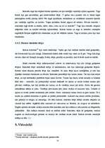 Referāts 'Sievietes tērps gadsimtu gaitā', 16.