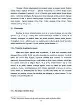 Referāts 'Sievietes tērps gadsimtu gaitā', 17.