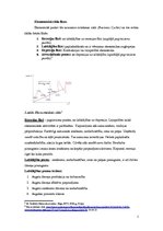 Referāts 'Makroekonomikas pamati. Sestās lekcijas tēma', 2.