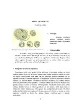 Referāts 'Parazitoloģija', 4.